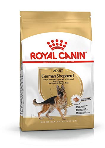 Royal Canin 35292 Breed Deutscher Schäferhund 3 kg- Hundefutter von ROYAL CANIN