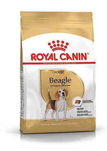 Royal Canin Beagle Adult 12 kg, 1er Pack (1 x 12 kg) von Royal Canin