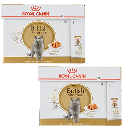 Royal Canin British Shorthair | Doppelpack | 2 x 12 x 85 g | Nassfutter für ausgewachsene Britisch Kurzhaar Katzen | Ab dem 12. Lebensmonat geeignet | Kleine Stückchen in Soße Royal Canin British Shorthair | Doppelpack | 2 x 12 x 85 g | Nassfutter für ausgewachsene Britisch Kurzhaar Katzen | Ab dem 12. Lebensmonat geeignet | Kleine Stückchen in Soße von ROYAL CANIN