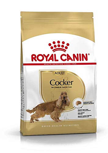 Royal Canin Cocker 25 Adult Hundefutter 12 kg, 1er Pack (1 x 12 kg) von ROYAL CANIN