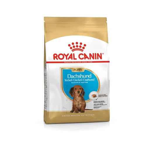 ROYAL CANIN Dachshund Puppy | 1,5 kg | Trockennahrung für Dackel-Welpen bis 10 Monate | Zur Unterstützung von Immunsystem, Verdauung & Knochenentwicklung | Kalziumfängerkroketten von Royal Canin
