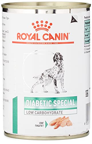 Royal Canin Diabetic Special Low Carbohydrate Nassfutter für Hunde - Bei Diabetes mellitus 1x410g von ROYAL CANIN