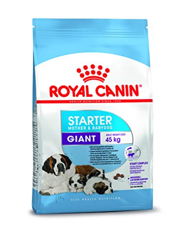 Royal Canin Hundefutter Giant Starter 15 kg, 1er Pack (1 x 15 kg) von ROYAL CANIN