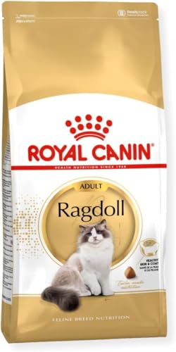 Royal Canin Katzenfutter Ragdoll 2 kg, 1er Pack (1 x 2 kg) von Royal Canin