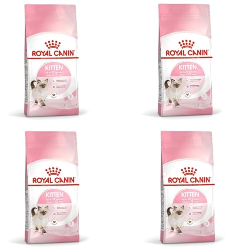 Royal Canin Kitten | 4er Pack | 4 x 400 g | Trockenfutter für Katzenwelpen bis zum 12. Monat | Zur Unterstützung des Immunsystems, der Verdauung und der Gehirnentwicklung Royal Canin Kitten | 4er Pack | 4 x 400 g | Trockenfutter für Katzenwelpen bis zum 12. Monat | Zur Unterstützung des Immunsystems, der Verdauung und der Gehirnentwicklung von Royal Canin