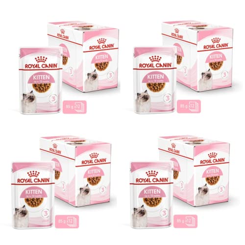 Royal Canin Kitten Nassfutter | 4er Pack | 4 x 12 x 85g | Feine Stückchen in Soße | Alleinfuttermittel für Kitten| Speziell für Katzenwelpen ab der zweiten Wachstumsphase bis zum 12. Monat Royal Canin Kitten Nassfutter | 4er Pack | 4 x 12 x 85g | Feine Stückchen in Soße | Alleinfuttermittel für Kitten| Speziell für Katzenwelpen ab der zweiten Wachstumsphase bis zum 12. Monat von ROYAL CANIN