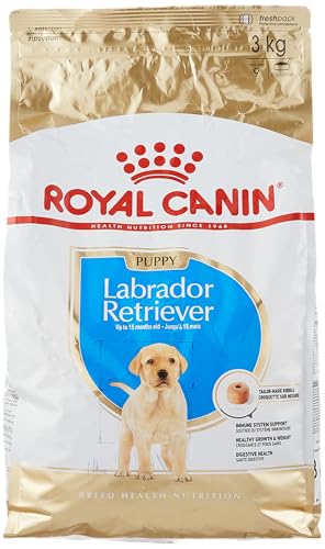 Royal Canin Labrador Junior Labrador-Futter für junge Labradore. Royal Canin Labrador Junior Labrador-Futter für junge Labradore. von ROYAL CANIN