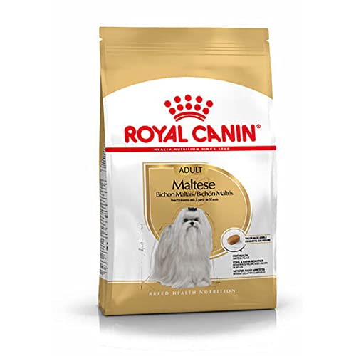 Royal Canin Maltese Adult | 1,5 kg |Trockenfutter für ausgewachsene Malteser | Zur Unterstützung des Fells und der Verdauung | Mit EPA & DHA | Für Hunde ab dem 10. Lebensmonat Royal Canin Maltese Adult | 1,5 kg |Trockenfutter für ausgewachsene Malteser | Zur Unterstützung des Fells und der Verdauung | Mit EPA & DHA | Für Hunde ab dem 10. Lebensmonat von Royal Canin