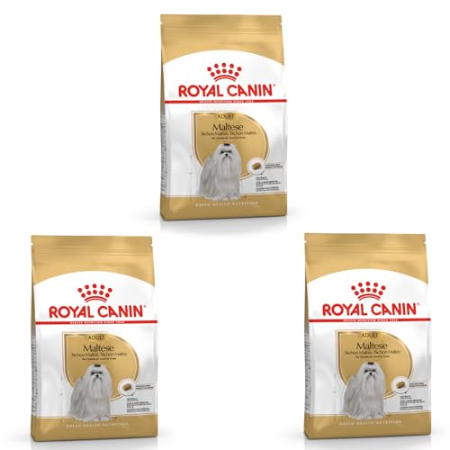 Royal Canin Maltese Adult | 3er Pack | 3 x 500 g |Trockenfutter für ausgewachsene Malteser | Zur Unterstützung des Fells und der Verdauung | Für Hunde ab dem 10. Lebensmonat Royal Canin Maltese Adult | 3er Pack | 3 x 500 g |Trockenfutter für ausgewachsene Malteser | Zur Unterstützung des Fells und der Verdauung | Für Hunde ab dem 10. Lebensmonat von ROYAL CANIN