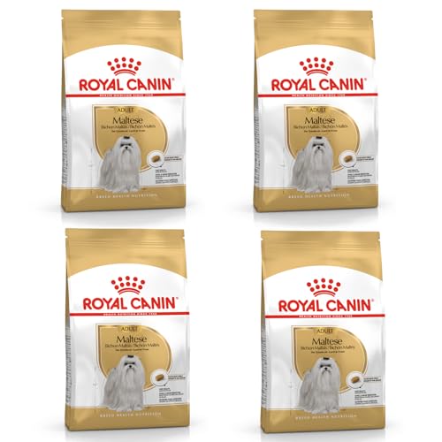 Royal Canin Maltese Adult | 4er Pack | 4 x 500 g |Trockenfutter für ausgewachsene Malteser | Zur Unterstützung des Fells und der Verdauung | Für Hunde ab dem 10. Lebensmonat von ROYAL CANIN