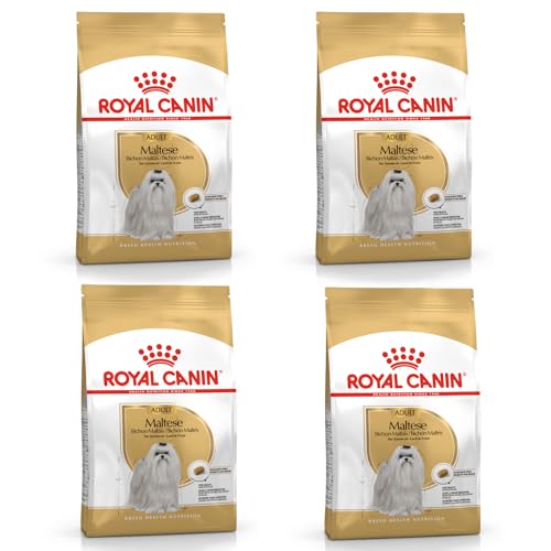 Royal Canin Maltese Adult | 4er Pack | 4 x 500 g |Trockenfutter für ausgewachsene Malteser | Zur Unterstützung des Fells und der Verdauung | Für Hunde ab dem 10. Lebensmonat Royal Canin Maltese Adult | 4er Pack | 4 x 500 g |Trockenfutter für ausgewachsene Malteser | Zur Unterstützung des Fells und der Verdauung | Für Hunde ab dem 10. Lebensmonat von ROYAL CANIN