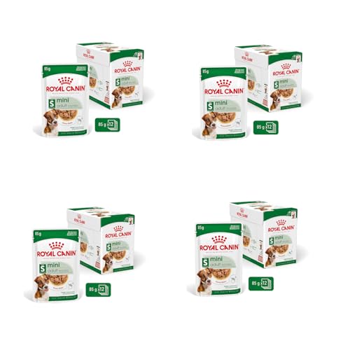Royal Canin Mini Adult | 4er Pack | 4 x 12 x 85 g | Nassfutter für ausgewachsene kleine Hunde | Kann zur optimalen Versorgung Kleiner Hunderassen eingesetzt Werden | Im Frischebeutel von ROYAL CANIN
