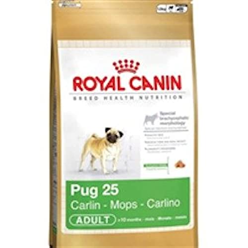 Royal Canin Mops Trockenfutter (1,5kg) (kann variieren) von ROYAL CANIN