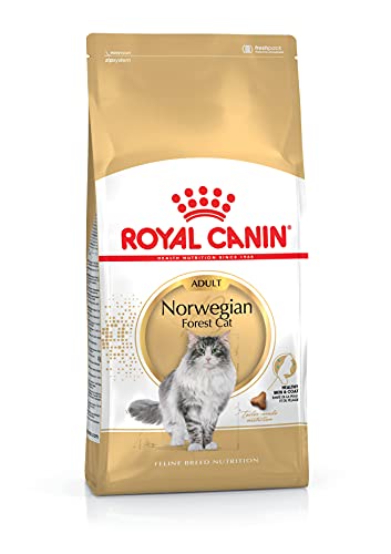 Royal Canin Katzenfutter Norwegische Waldkatze 10 kg, 1er Pack (1 x 10 kg) von Royal Canin