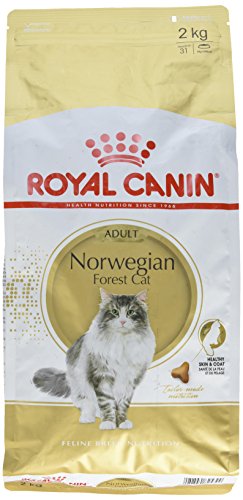 Royal Canin Norwegian Forest Cat Adult Cats Dry Food 2 kg Poultry von ROYAL CANIN