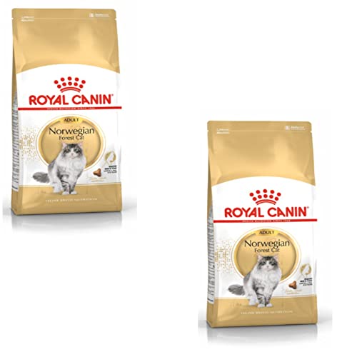 Royal Canin Norwegian Forest Cat Adult | Doppelpack | 2 x 400 g | Allfeinfuttermittel für ausgewachsene Norwegische Waldkatzen | Ab dem 12. Monat | Gesunde Haut und schönes Fell von ROYAL CANIN
