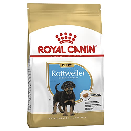 Royal Canin Rottweiler 31 Junior 12 kg, 1er Pack (1 x 12 kg) von ROYAL CANIN