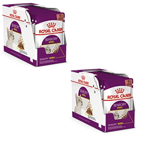 Royal Canin Sensory Smell Jelly | Doppelpack | 2 x 12 x 85 g | Nassfutter für ausgewachsene Katzen | Stückchen in Gelee | Zur Anregung des Geruchssinns | Instinktiv bevorzugt von ROYAL CANIN