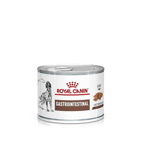 Royal Canin Veterinary Gastrointestinal Mousse | 12 x 200 g | Diät-Alleinfuttermittel für ausgewachsene Hunde | Zur Unterstützung der Verdauung | Mit hohem Energiegehalt Royal Canin Veterinary Gastrointestinal Mousse | 12 x 200 g | Diät-Alleinfuttermittel für ausgewachsene Hunde | Zur Unterstützung der Verdauung | Mit hohem Energiegehalt von ROYAL CANIN