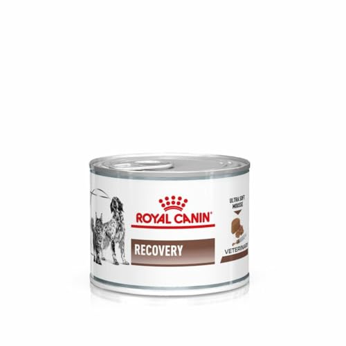 Royal Canin Veterinary Recovery | 12 x 195 g | Diät-Alleinfuttermittel für ausgewachsene Hunde und ausgewachsene Katzen | Ultra Soft Mousse mit einem hohen Proteingehalt von ROYAL CANIN