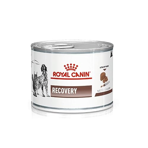Royal Canin Veterinary Recovery | 12 x 195 g | Diät-Alleinfuttermittel für ausgewachsene Hunde und ausgewachsene Katzen | Ultra Soft Mousse mit einem hohen Proteingehalt Royal Canin Veterinary Recovery | 12 x 195 g | Diät-Alleinfuttermittel für ausgewachsene Hunde und ausgewachsene Katzen | Ultra Soft Mousse mit einem hohen Proteingehalt von ROYAL CANIN