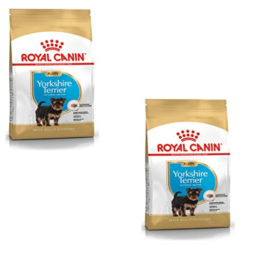 ROYAL CANIN Yorkshire Terrier Puppy | Doppelpack | 2 x 500 g | Trockenfutter für Yorkshire Terrier Welpen | Zur Unterstützung des Immunsystems | Für schönes Fell und Gute Zähne von ROYAL CANIN