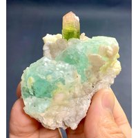 Bi-Color Turmalin Mit Grünem Fluorit & Muskovit - Stak Nala Pakistan von ROYALMINERALSHOP