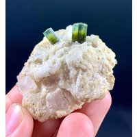 Bi-Color Turmalin Mit Quarz, Skardu Pakistan | 268 Ct von ROYALMINERALSHOP