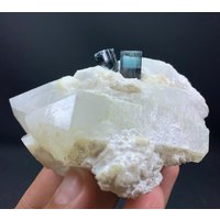 Blue Cap Zwillings-Turmalin Mit Quarz Und Albit Aus Der Chamachu Mine Shengus Rhundu Skardu Pakistan/Natürliches Mineral. 250 Gramm Blue Cap Zwillings-Turmalin Mit Quarz Und Albit Aus Der Chamachu Mine Shengus Rhundu Skardu Pakistan/Natürliches Mineral. 250 Gramm von ROYALMINERALSHOP