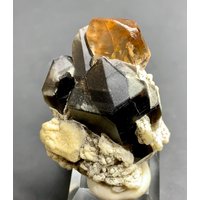 Goldener Topas Kristall Auf Rauchquarz Shigar Mine, Pakistan | 122 Ct, 42x36x15mm Goldener Topas Kristall Auf Rauchquarz Shigar Mine, Pakistan | 122 Ct, 42x36x15mm von ROYALMINERALSHOP