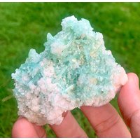 Grüner Turmalin Kristalle Auf Muskovit - Skardu Pakistan Grüner Turmalin Kristalle Auf Muskovit - Skardu Pakistan von ROYALMINERALSHOP
