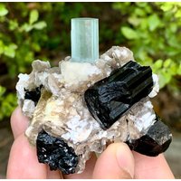 Himmelblaue Aquamarine, Schwarzer Turmalin & Muskovit Cluster Skardu Pakistan Himmelblaue Aquamarine, Schwarzer Turmalin & Muskovit Cluster Skardu Pakistan von ROYALMINERALSHOP