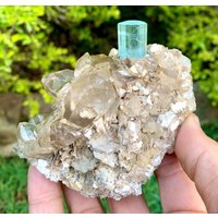 Himmelblauer Aquamarin, Quarz Und Muskovit Auf Feldspat, Shigar Mine von ROYALMINERALSHOP