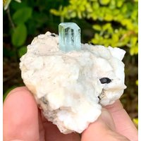 Himmelblauer Aquamarin Auf Albit Aus Skardu Mine Pakistan/Natürliches Mineral 395 Ct Himmelblauer Aquamarin Auf Albit Aus Skardu Mine Pakistan/Natürliches Mineral 395 Ct von ROYALMINERALSHOP