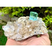 Himmelblauer Aquamarin Mit Quarz Und Muskovit, Shigar Mine Pakistan Himmelblauer Aquamarin Mit Quarz Und Muskovit, Shigar Mine Pakistan von ROYALMINERALSHOP
