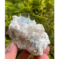 Himmelblauer Aquamarin Mit Quarz Und Muskovit Aus Der Shigar-Mine in Skardu Pakistan/Natürliches Mineral. 199 Gramm Himmelblauer Aquamarin Mit Quarz Und Muskovit Aus Der Shigar-Mine in Skardu Pakistan/Natürliches Mineral. 199 Gramm von ROYALMINERALSHOP