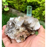 Himmelblauer Aquamarin Mit Quarz & Muskovit Aus Der Shigar Mine in Skardu Pakistan 403 Gramm Himmelblauer Aquamarin Mit Quarz & Muskovit Aus Der Shigar Mine in Skardu Pakistan 403 Gramm von ROYALMINERALSHOP