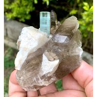 Himmelblauer Aquamarin Mit Rauchquarz Bündel Aus Der Shigar Mine Skardu Pakistan, 175 Gramm Himmelblauer Aquamarin Mit Rauchquarz Bündel Aus Der Shigar Mine Skardu Pakistan, 175 Gramm von ROYALMINERALSHOP