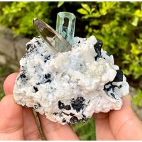 Himmelblauer Aquamarin Mit Rauchquarz & Turmalin Aus Der Shigar Mine in Skardu Pakistan. 215 Gm Himmelblauer Aquamarin Mit Rauchquarz & Turmalin Aus Der Shigar Mine in Skardu Pakistan. 215 Gm von ROYALMINERALSHOP