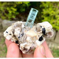 Himmelblauer Aquamarin Mit Schwarzem Turmalin & Muskovit - Shigar Mine Skardu Pakistan 365 Kt Himmelblauer Aquamarin Mit Schwarzem Turmalin & Muskovit - Shigar Mine Skardu Pakistan 365 Kt von ROYALMINERALSHOP