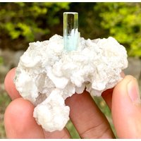 Himmelblauer Aquamarin Mit Topas & Muskovit - Shigar Mine Skardu Pakistan 242 Kt Himmelblauer Aquamarin Mit Topas & Muskovit - Shigar Mine Skardu Pakistan 242 Kt von ROYALMINERALSHOP