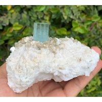 Himmelblauer Riesen Aquamarin Mit Muskovit & Albit Aus Der Shigar Mine in Skardu Pakistan/Natürliches Mineral. 580 Gramm von ROYALMINERALSHOP