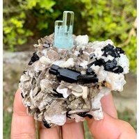Himmelblauer Zwillings-Aquamarin Mit Schwarzem Turmalin Und Muskovit Aus Der Shigar-Mine in Skardu Pakistan 178 Gramm Himmelblauer Zwillings-Aquamarin Mit Schwarzem Turmalin Und Muskovit Aus Der Shigar-Mine in Skardu Pakistan 178 Gramm von ROYALMINERALSHOP