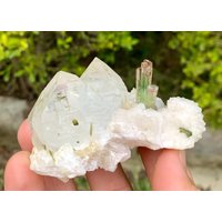 Multicolor Turmalin Kristalle Mit Zwillingsquarz Shigar Valley Mineral Multicolor Turmalin Kristalle Mit Zwillingsquarz Shigar Valley Mineral von ROYALMINERALSHOP