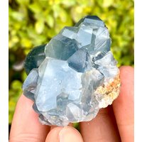 Natürliche Blaue Farbe Seltene Coelestin-Kristallbündel Aus Der Badakshan-Mine Afghanistan 450 Ct Natürliche Blaue Farbe Seltene Coelestin-Kristallbündel Aus Der Badakshan-Mine Afghanistan 450 Ct von ROYALMINERALSHOP