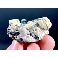 Natürliche Blaue Kappe Und Grüner Turmalin Mit Quarz Aus Chama Chu Skardu Pakistan 244 Ct, Größe 26 X 53 34 Mm von ROYALMINERALSHOP