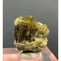 Natürliche Epidot Kristall Bündel, Skardu Pakistan. 55 Kt von ROYALMINERALSHOP
