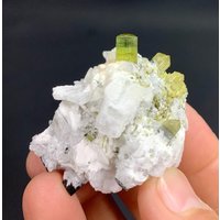 Yellow Cap Turmalin Kristallbündel, Skardu Pakistan von ROYALMINERALSHOP