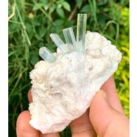 Natürliche Himmelblaue Aquamarine Crystal Bunch Specimen Aus Der Shigar Mine Skardu Pakistan 185 Gramm, Größe 57 X 81 50 Mm von ROYALMINERALSHOP