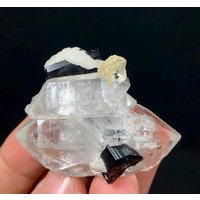Natürliche Schriftrolle Mit Quarz-Bündel Aus Der Hashupi Mine in Skardu Pakistan/Natürliches Mineral 275 Ct von ROYALMINERALSHOP